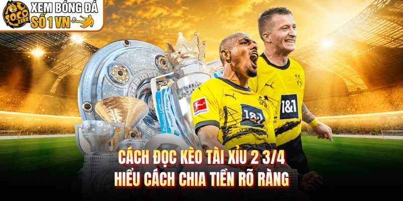 Cách Đọc Kèo Tài Xỉu 2 3/4 – Hiểu Cách Chia Tiền Rõ Ràng